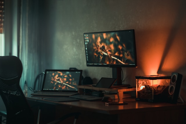 Een ideale monitor voor kantoorwerk en gaming